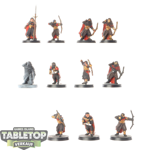 HdR Figuren - Böse - 11 Haradrim™ Warriors - bemalt
