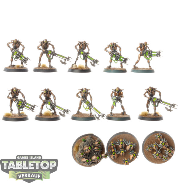 Necrons - 10 Necron Warriors 3 Canoptek Scarab Swarms - bemalt