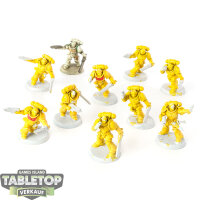 Space Marines - 10x Assault Intercessors - teilweise bemalt