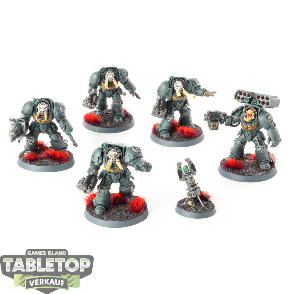 Space Marines - 5x Terminator Squad - bemalt
