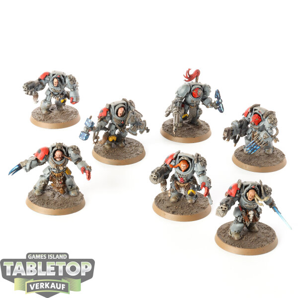 Space Wolves - 7 x Wolf Guard Terminators - bemalt