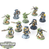 Space Wolves - 10x Assault Intercessors - teilweise bemalt