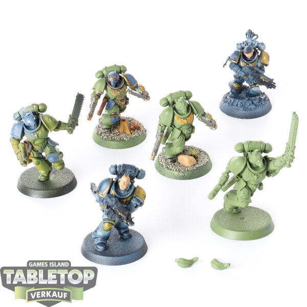 Space Wolves - 6x Assault Intercessors - teilweise bemalt