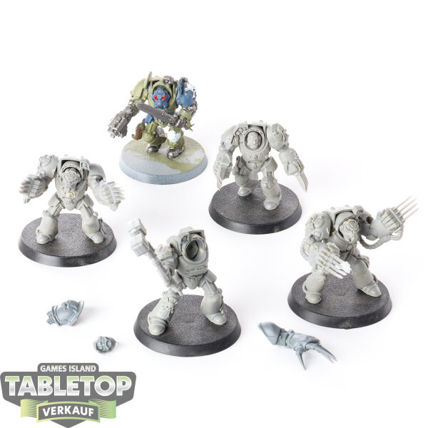 Space Wolves - 5x Terminator Assault Squad - teilweise bemalt