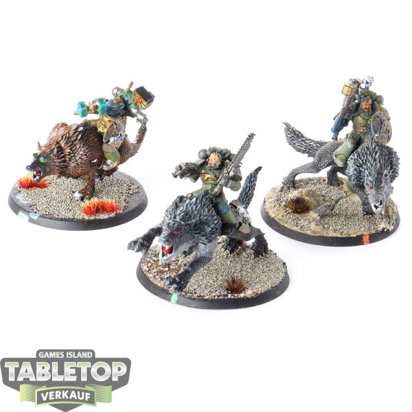 Space Wolves - 3x Thunderwolf Cavalry - bemalt