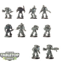 Space Wolves - 10 x Grey Hunters - teilweise bemalt