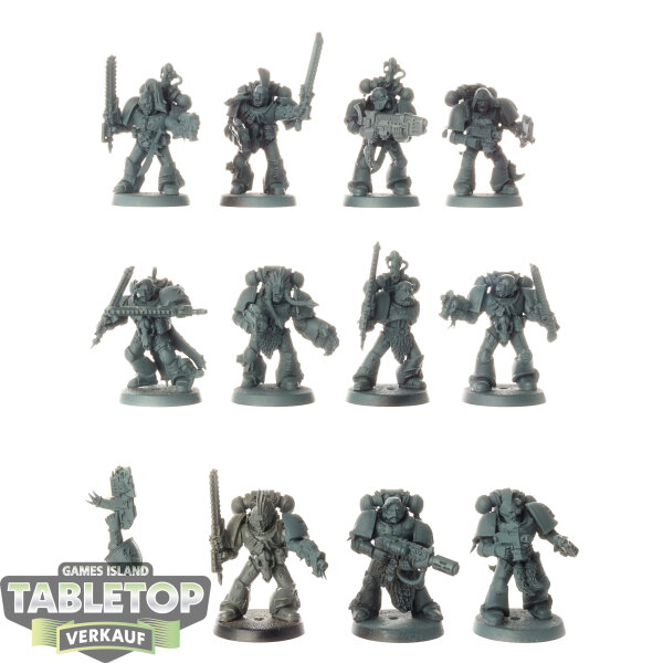 Space Wolves - 10 x Grey Hunters - teilweise bemalt