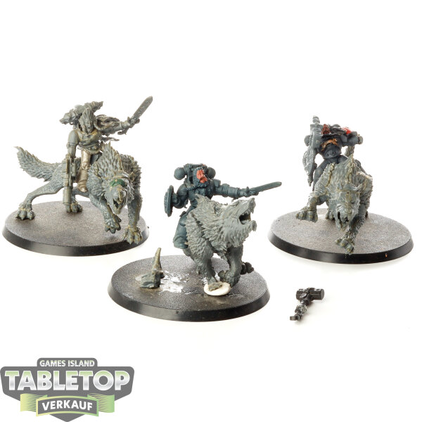 Space Wolves - 3 x Thunderwolf Cavalry - teilweise bemalt