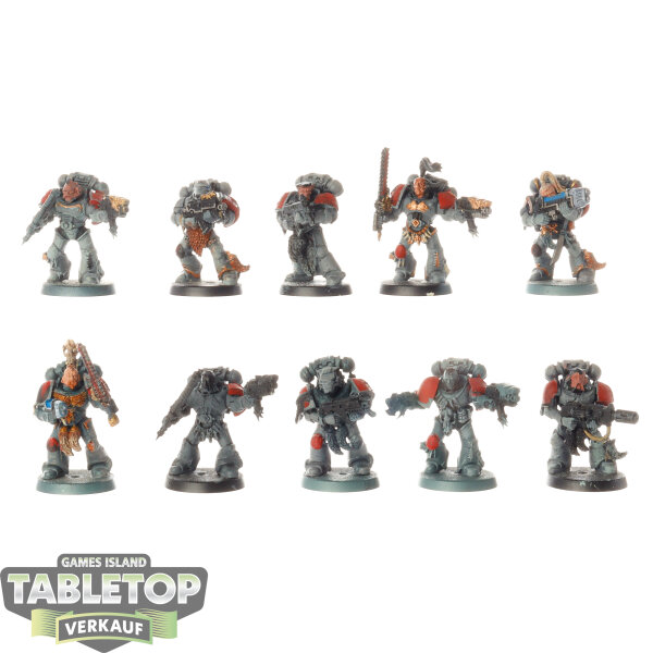 Space Wolves - 10 x Grey Hunters - teilweise bemalt