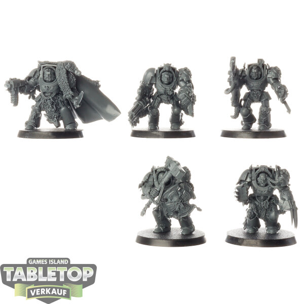 Space Wolves - 5x Wolf Guard Terminators - unbemalt