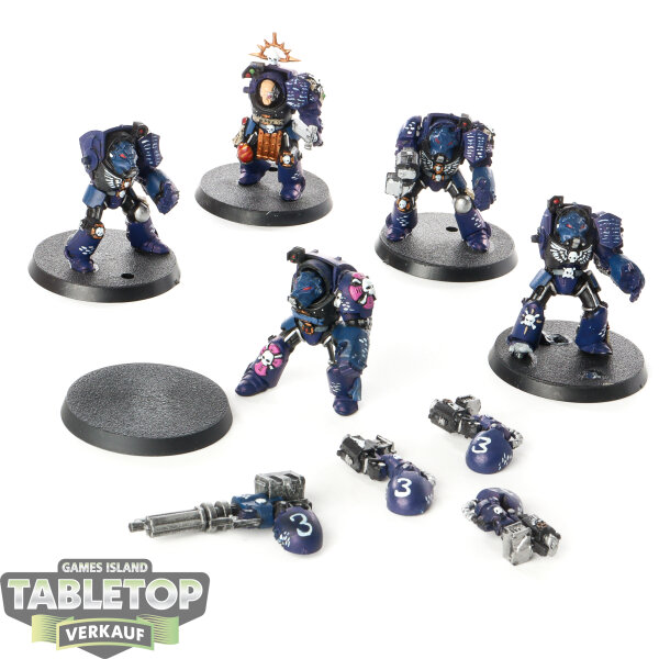 Space Marines - 5 x Terminator Squad (Classic) - bemalt