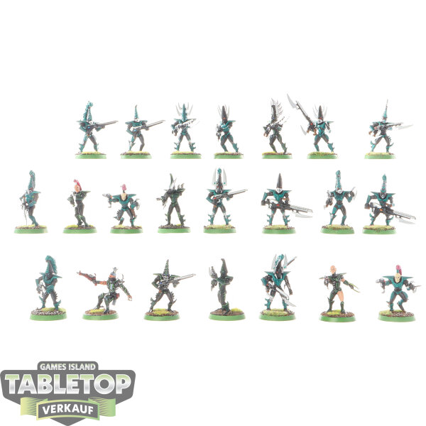 Drukhari - 22 x Dark Eldar Warriors - bemalt