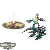 Drukhari - Beastmaster - bemalt