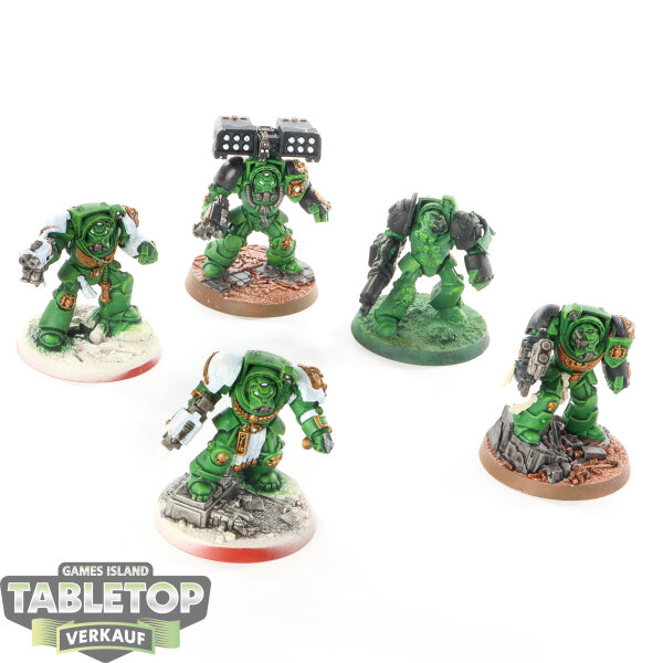 Space Marines - 5 Terminator - teilweise bemalt