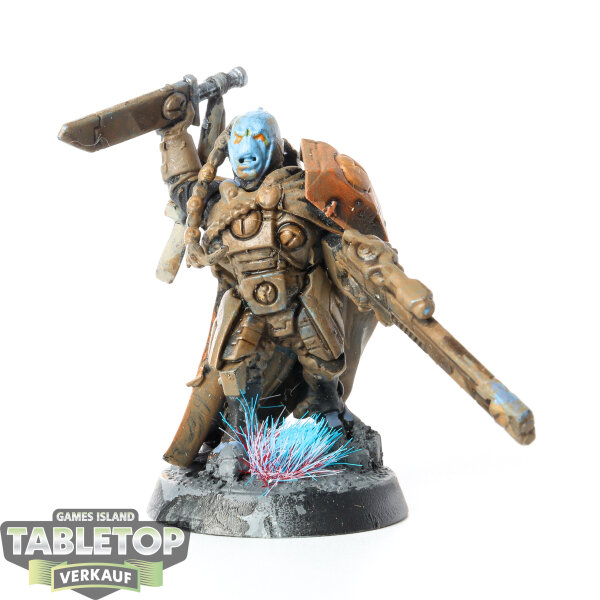 Tau Empire - Cadre Fireblade - teilweise bemalt