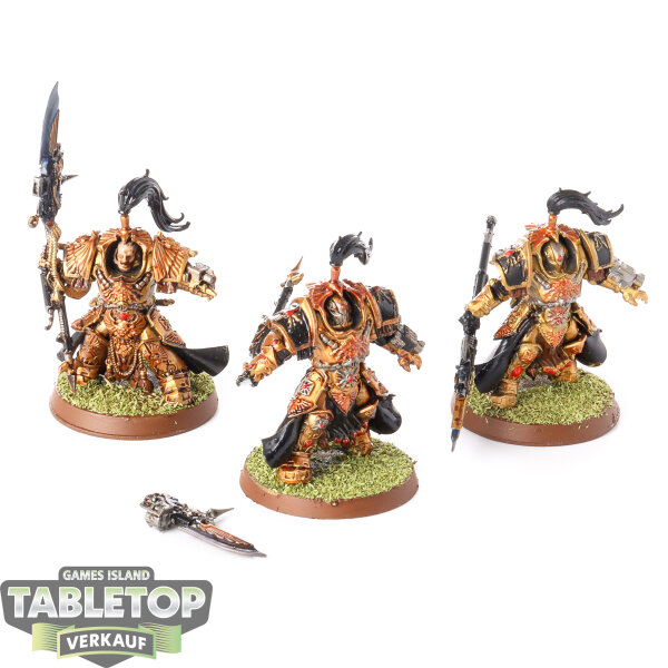Adeptus Custodes - 3x Allarus Custodians - bemalt