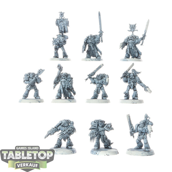 Space Wolves - 10x Grey Hunters - teilweise bemalt