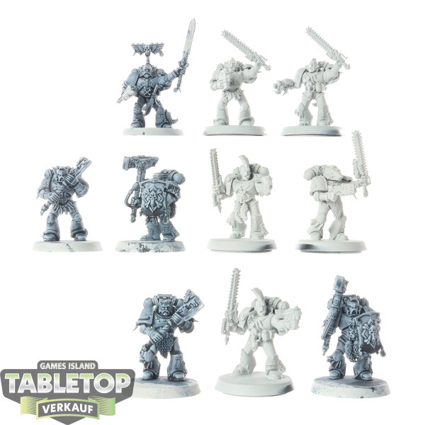 Space Wolves - 10x Grey Hunters - teilweise bemalt