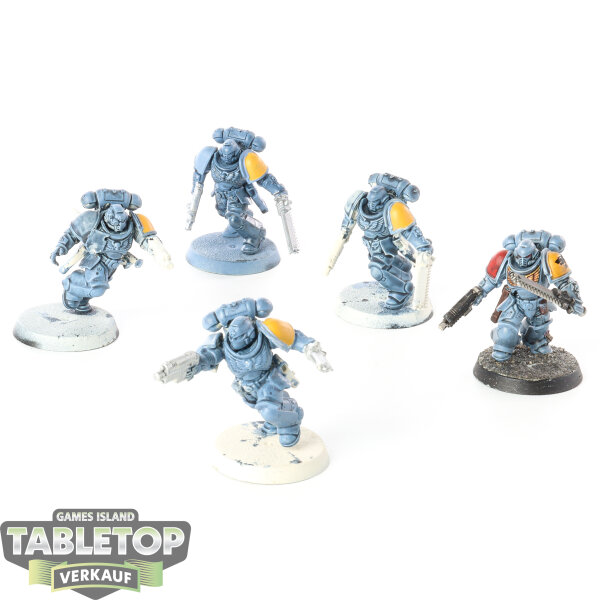Space Wolves - 5 x Assault Intercessors - teilweise bemalt