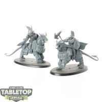 Stormcast Eternals - 2 Desolators - unbemalt