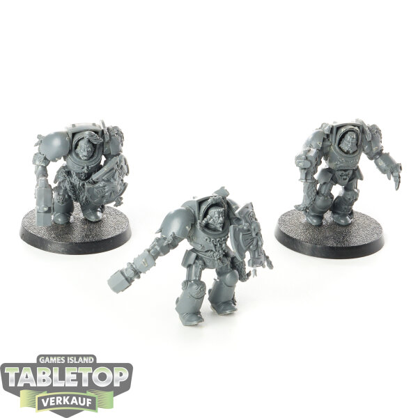 Space Wolves - 3 Wolf Guard Terminators - unbemalt