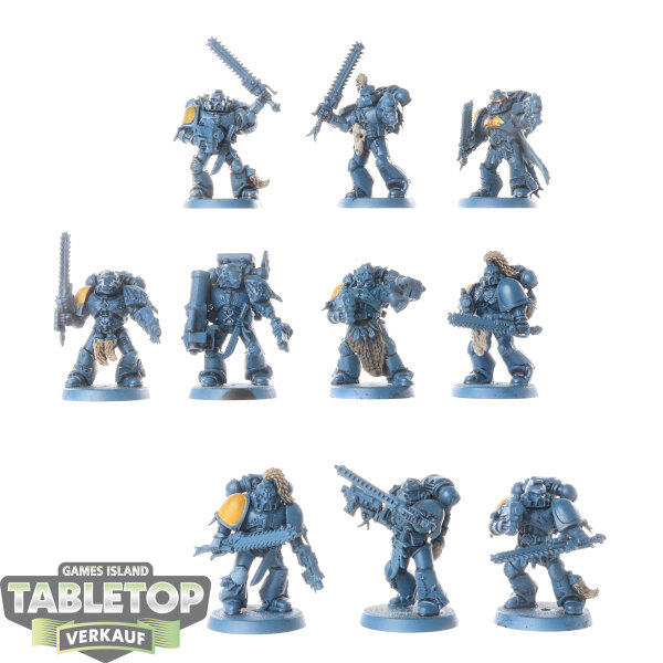 Space Wolves - 10 Space Wolves Blood Claws - teilweise bemalt