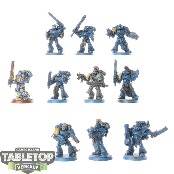 Space Wolves - 10 Space Wolves Blood Claws - teilweise bemalt