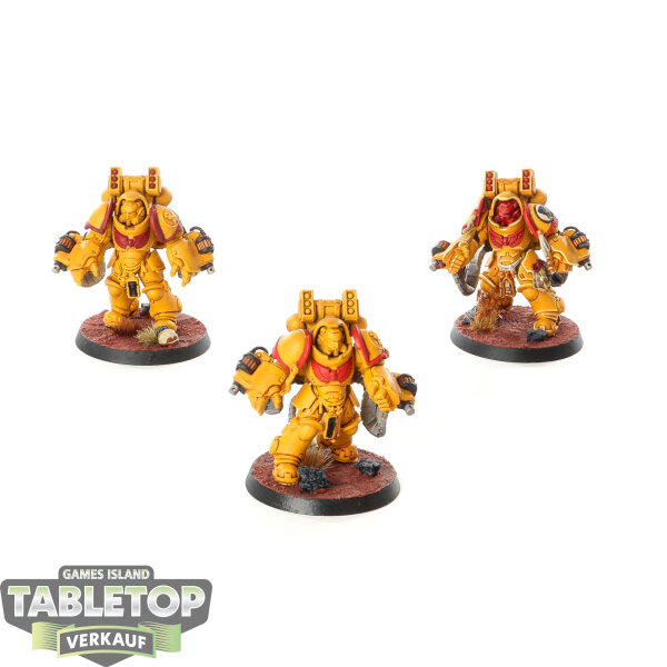 Imperial Fists - 3 x Primaris Aggressors - teilweise bemalt