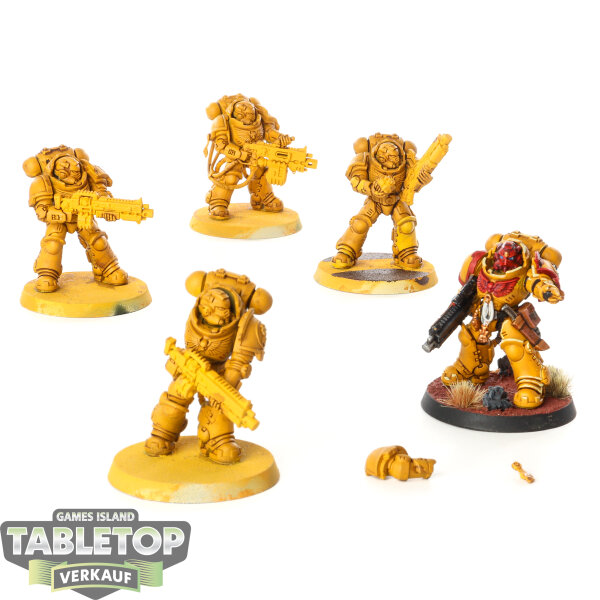Imperial Fists - 5 x Heavy Intercessors - teilweise bemalt