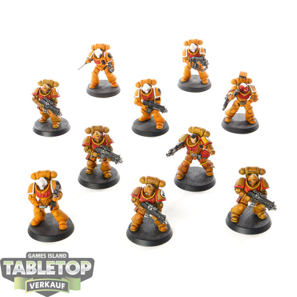 Imperial Fists - 10 x Intercessors - bemalt