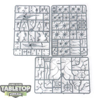Hedonites of Slaanesh - Tormentbringer / Bladebringer -...