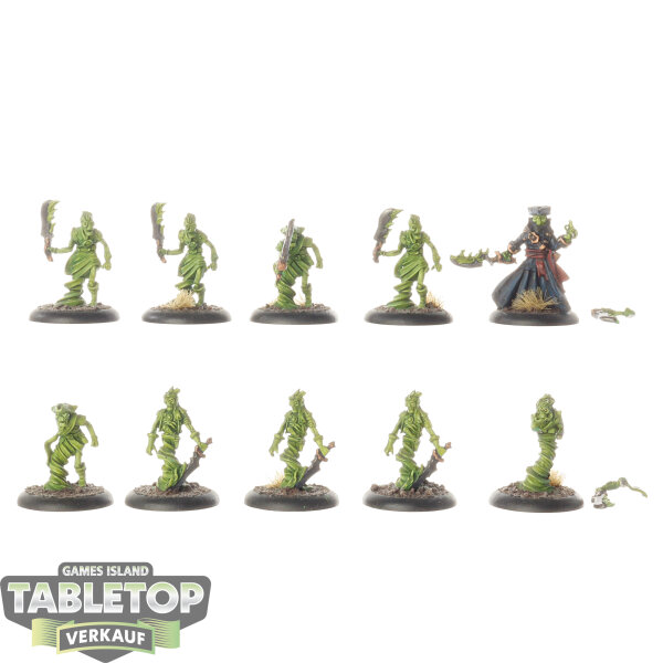 Cryx - 10 x Blackbanes Ghost Raiders - bemalt