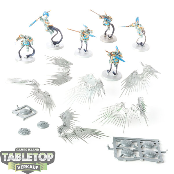 Stormcast Eternals - 6 x Prosecutors with Stormcall Javelins klassisch - teilweise bemalt