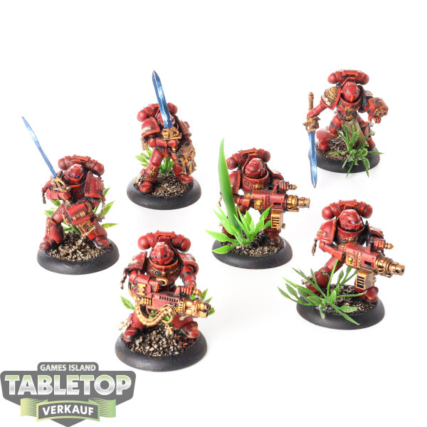 Grey Knights - 6 x Purgation Squad - bemalt