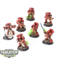 Grey Knights - 7 x Purgation Squad - bemalt