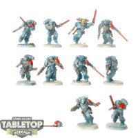 Space Wolves - 10x Assault Intercessors - teilweise bemalt