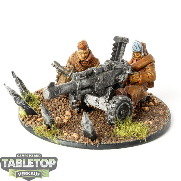 Astra Militarum - Valhallan Autocannon Team - bemalt