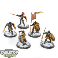 Stormcast Eternals - 5x Vindictors - bemalt