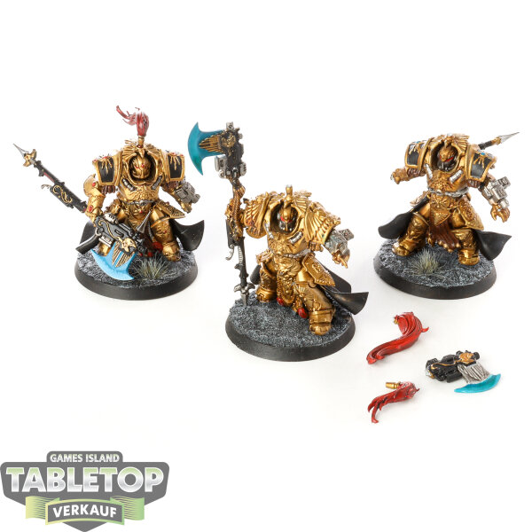 Adeptus Custodes - 3 x Allarus Custodians - bemalt