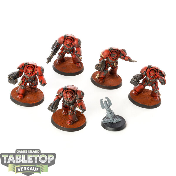 Space Marines - 5 x Terminator Squad - bemalt