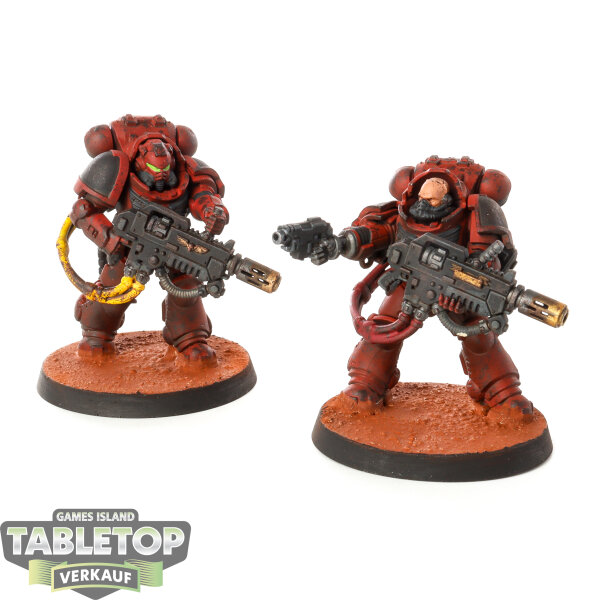 Space Marines - 2 x Primaris Eradicators - bemalt