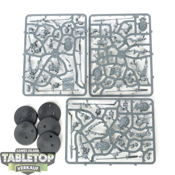 Stormcast Eternals - 5x Vindictors - im Gussrahmen
