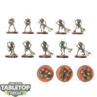 Necrons - 10 x Necron Warriors - bemalt