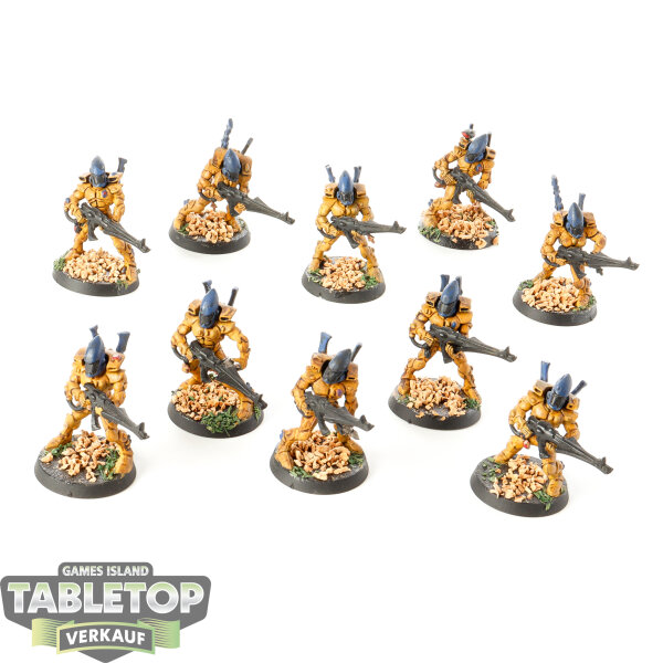 Aeldari - 10x Guardian Defenders klassisch - teilweise bemalt