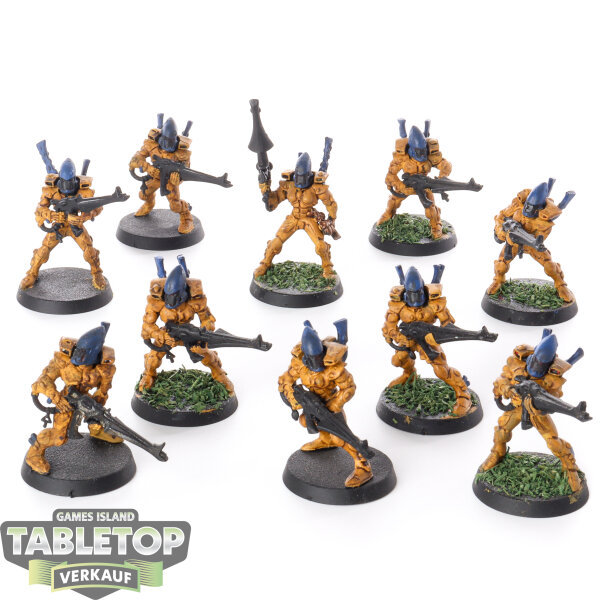 Aeldari - 10x Guardian Defenders klassisch - teilweise bemalt