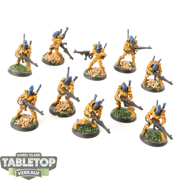Aeldari - 10x Guardian Defenders klassisch - teilweise bemalt