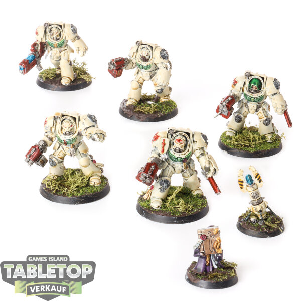 Dark Angels - 5x Terminator Squad - bemalt