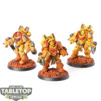 Imperial Fists - 3x Primaris Aggressors - bemalt