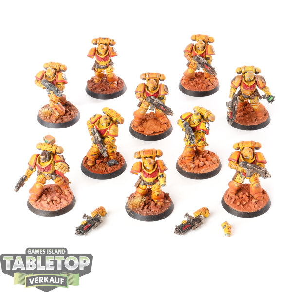 Imperial Fists - 10x Intercessors - bemalt
