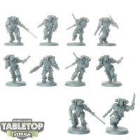 Space Marines - 10 x Assault Intercessors - grundiert